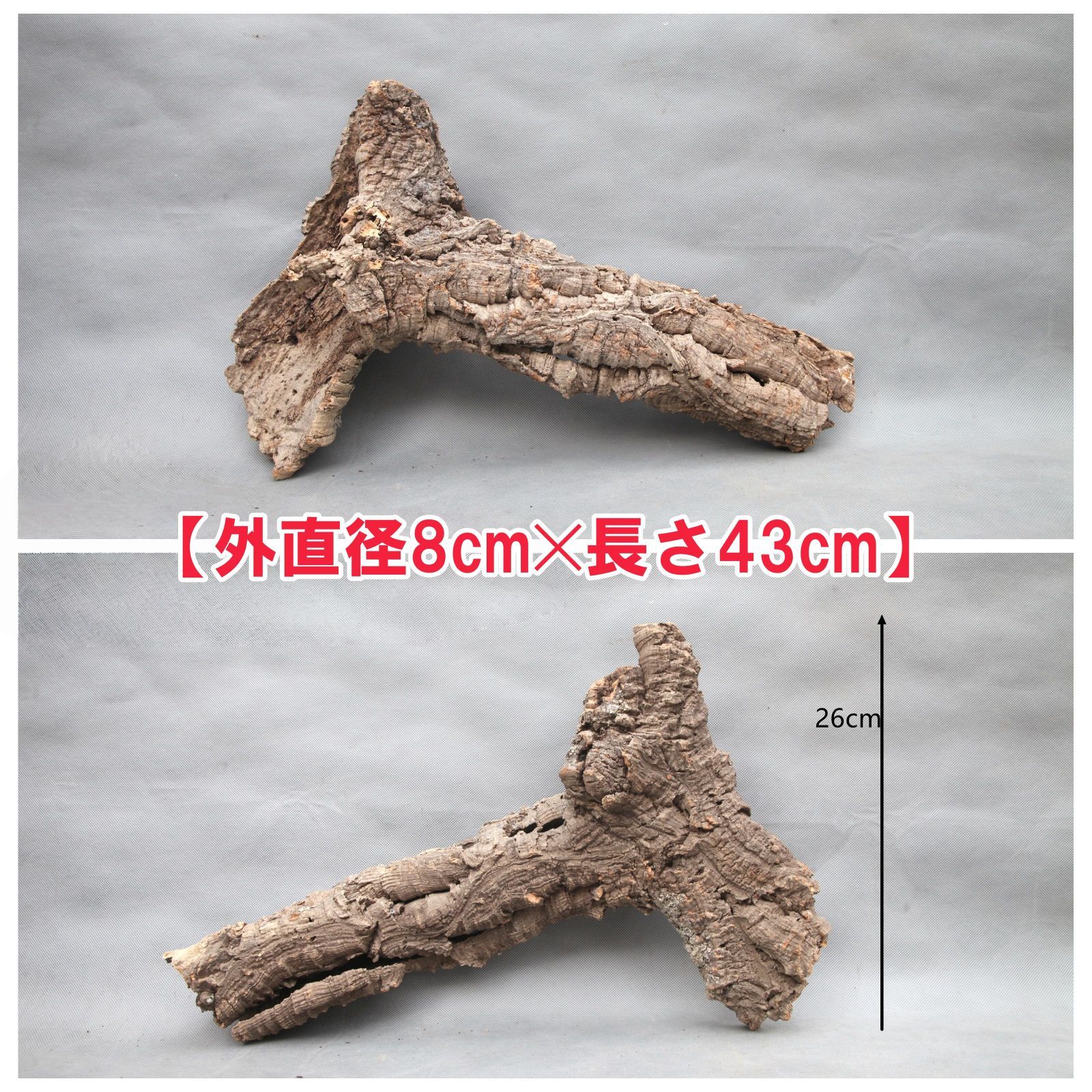 W687 ポルトガル産 キャノンコルク コルク樹皮 コルク板　バージンコルク 高品質　チランジア　ビカクシダ　着生ラン　両生類　爬虫類　コウモリラン　板付　エアープランツ 鳥用おもちゃ 植物用　水槽用　壁飾り　天然素材　DIY　大人気