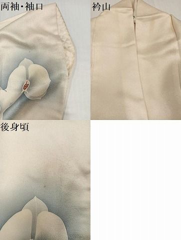 平和屋着物○訪問着 紬地 手描き 胡蝶蘭 正絹 逸品 AABH8250ph - メルカリ