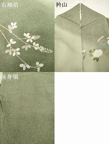 平和屋着物○訪問着 友禅 枝花文 暈し染め 正絹 逸品 AABH7073ck