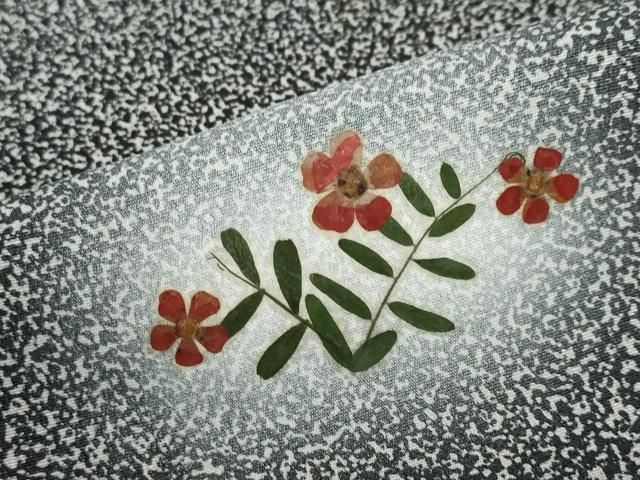 平和屋着物●訪問着　作家物　押し花　草花文　蛍暈し　正絹　逸品　DABD9423ud 平和屋着物○訪問着 作家物 押し花 草花文 蛍暈し 正絹 逸品