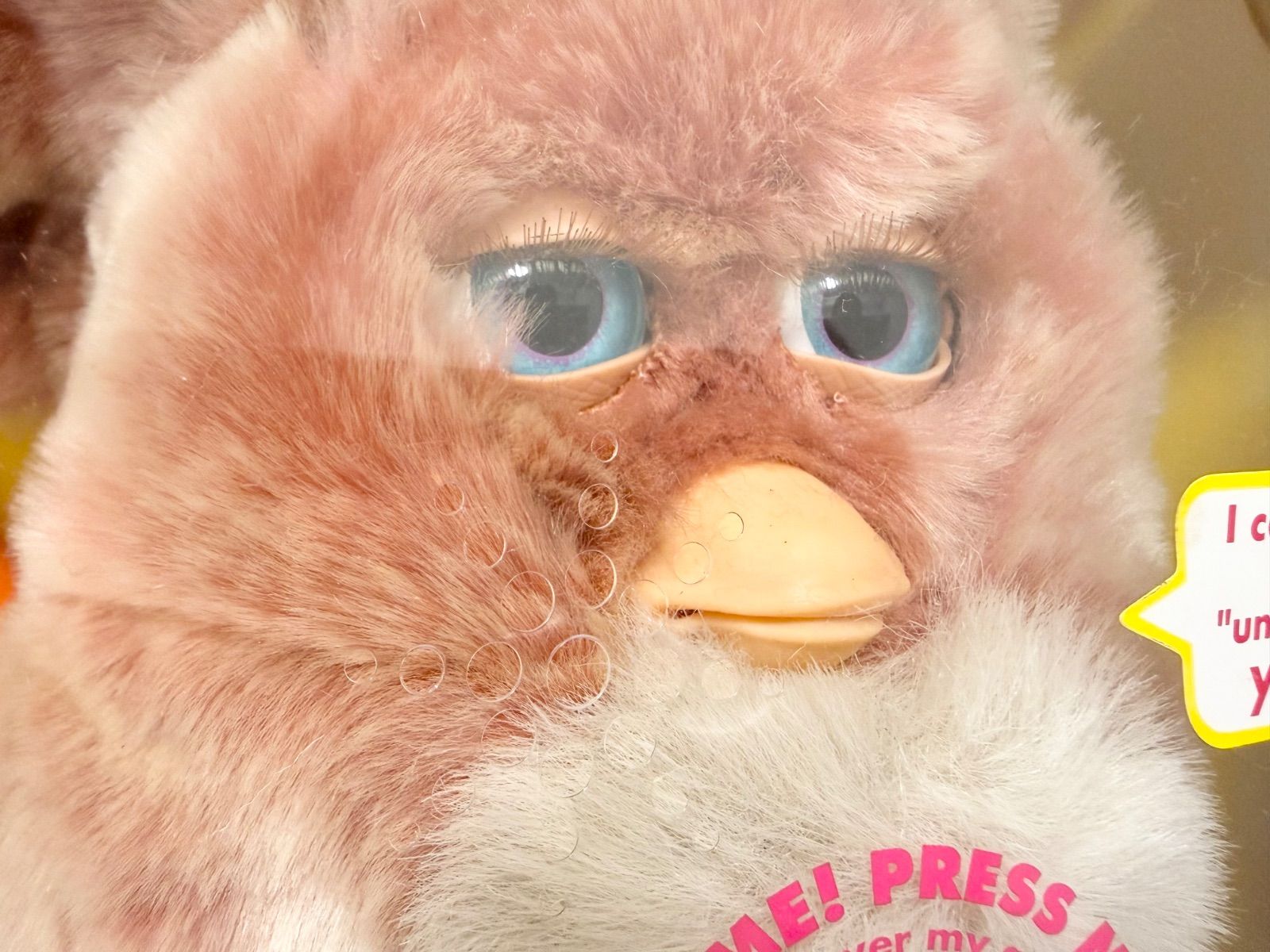 ファービー2　クランベリークッキー　青目　英語版 furby2 #13 新品未開封 ファービー2 クランベリークッキー 赤毛×青目① 英語版 03