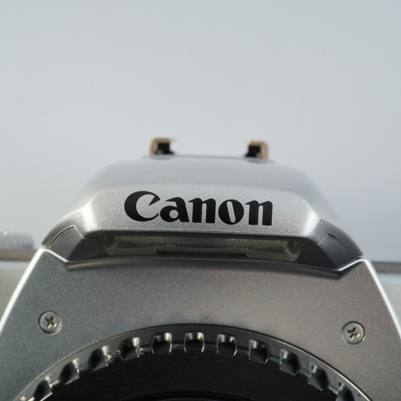 Canon キヤノン EOS kiss 5 (Rebel Ti) + EF 28-90mm F/4-5.6 Ⅱ +