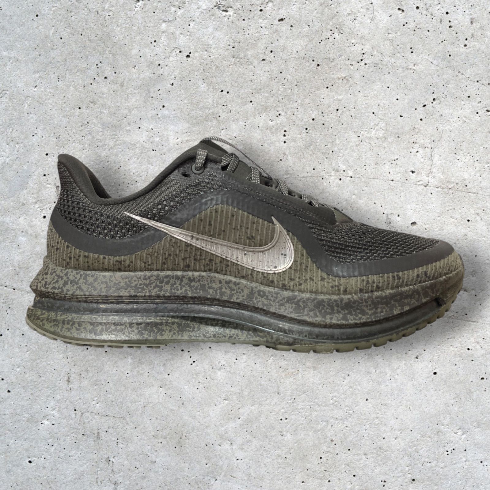定価：29700円 NIKE Pegasus Premium 