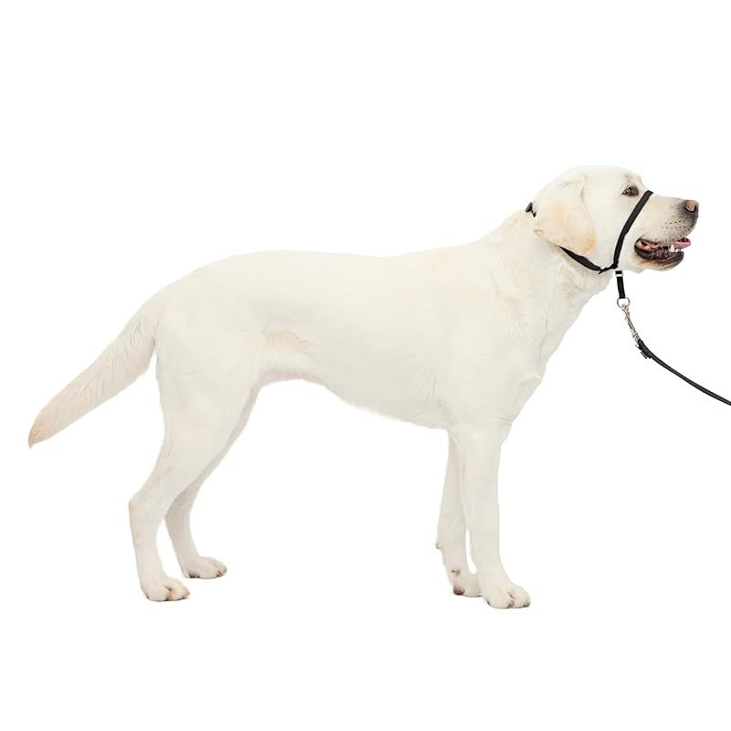 【新品】 PetSafe（ペットセーフ） ジェントルリーダー 引っ張り防止 ヘッドカラー 犬用 散歩トレーニング【ブラック Lサイズ】 1