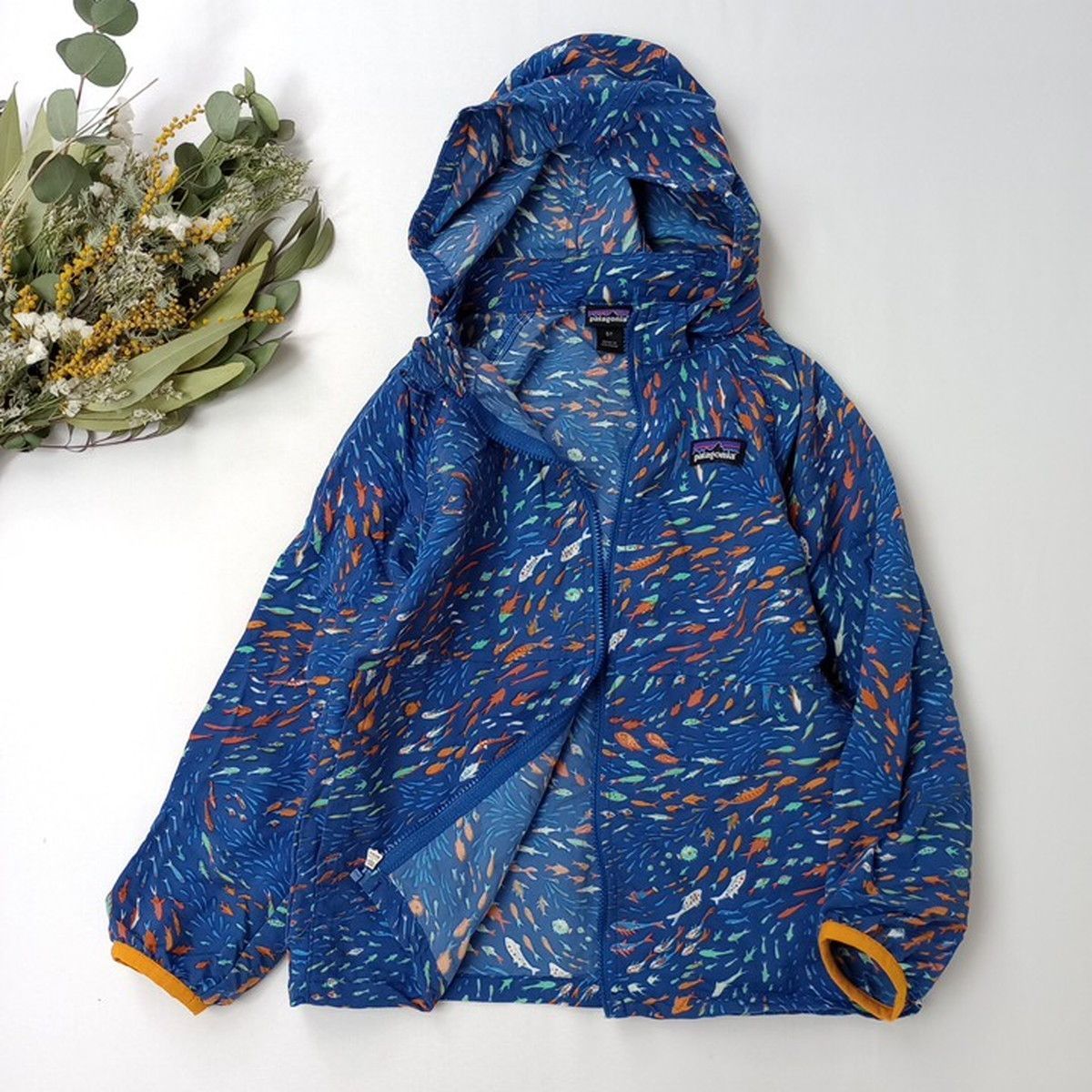 【5T 】patagonia バギーズジャケット　フード付きジャケット 魚柄 patagonia パタゴニア フード付きジャケット 魚柄 5T (39Y＋9933)26H