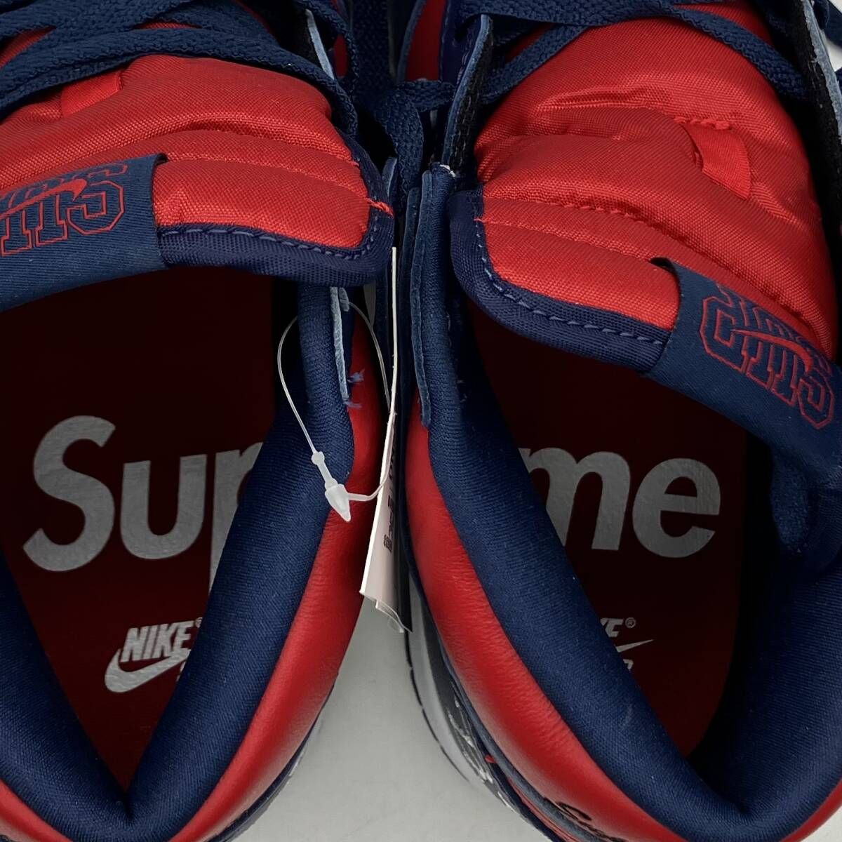 NIKE Supreme × SB Dunk High By Any Means 