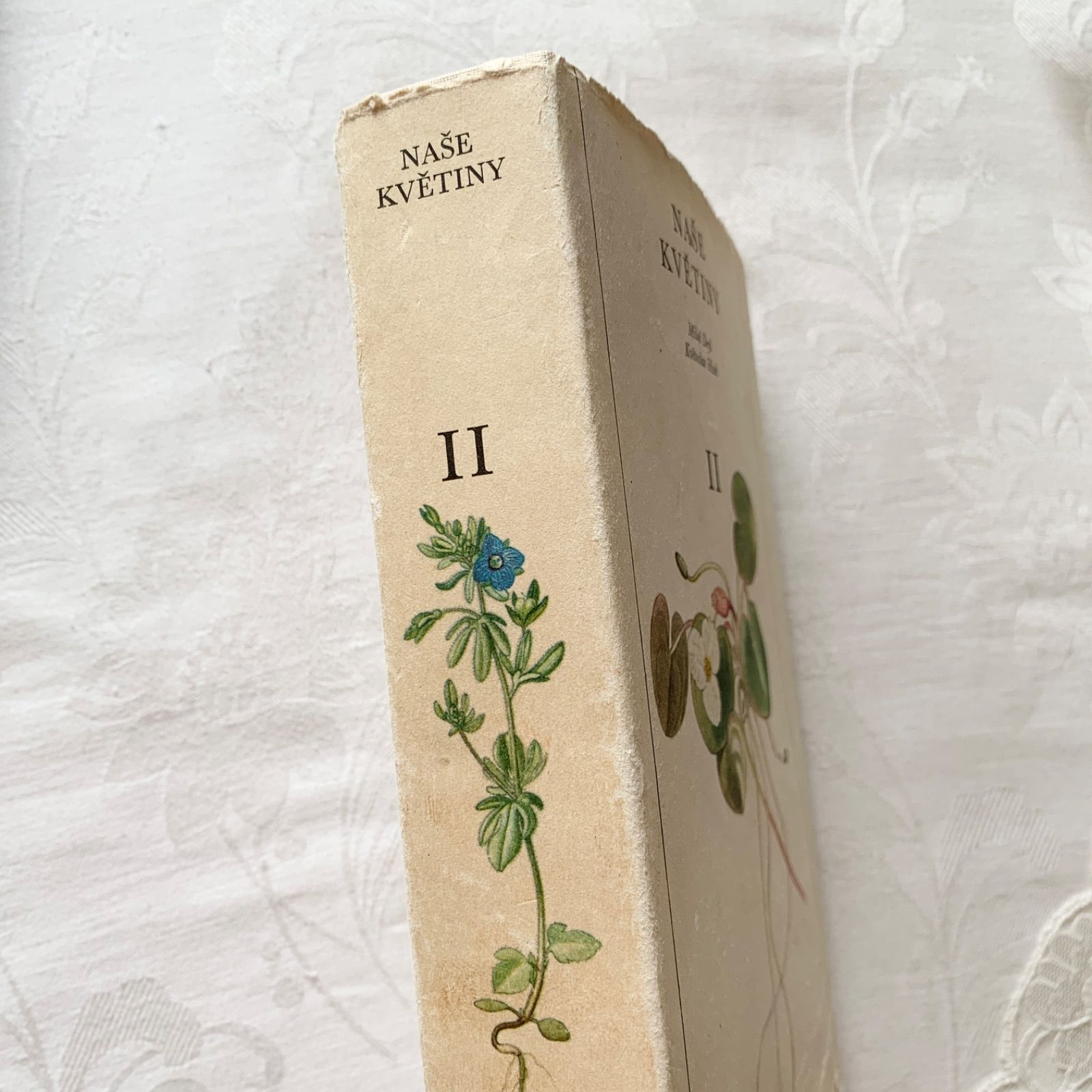 洋書　古書　美しいチェコの植物図鑑　野の花図鑑　優美な植物画273点♡ Amazon.co.jp: チェコの古い植物図鑑(ROSTLINY LUK PASTVIN VOD A