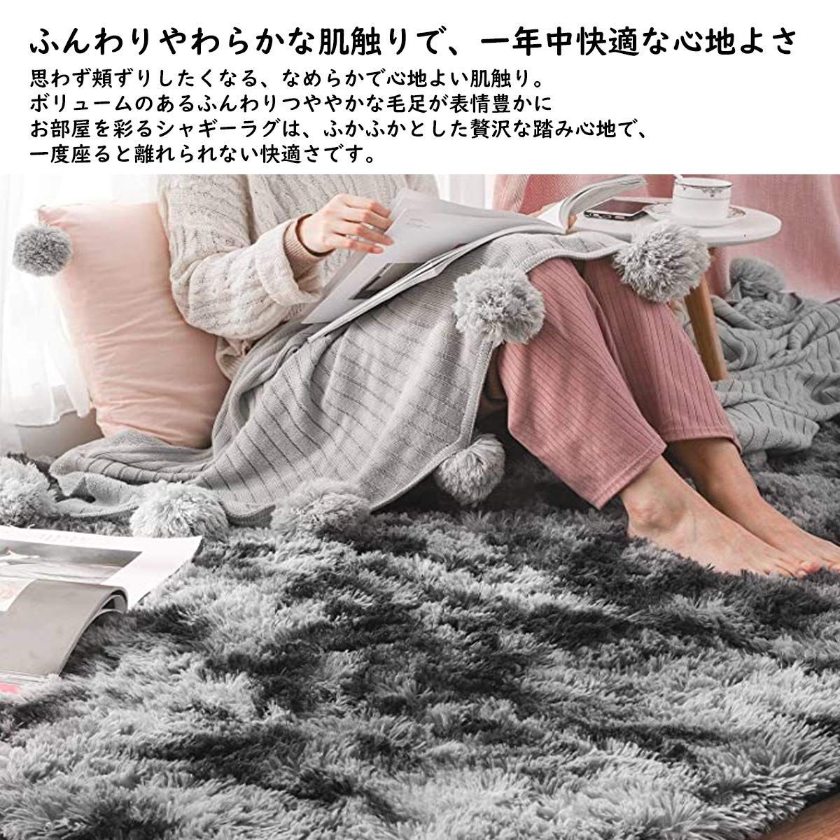 当店売れ筋 カーペット SpyFlyLie 洗えるラグ 北欧 長方形 ラグマット