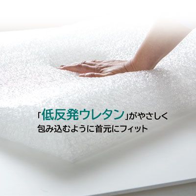フランスベッド キュリエス・エージー 低反発除菌ピロー 50×32cm 枕の 