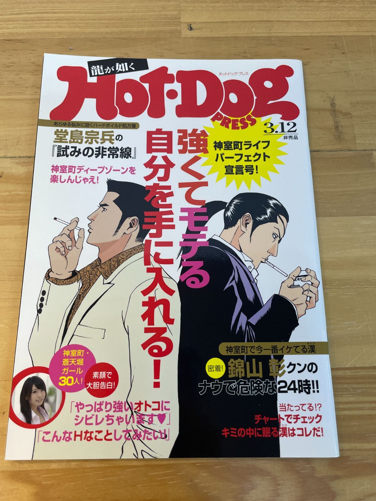 龍が如く Kamutai magazine カムタイマガジン 2005年12月号 龍が如く ガイドブック マガジン 7冊セット カムタイマガジン Hot-Dog