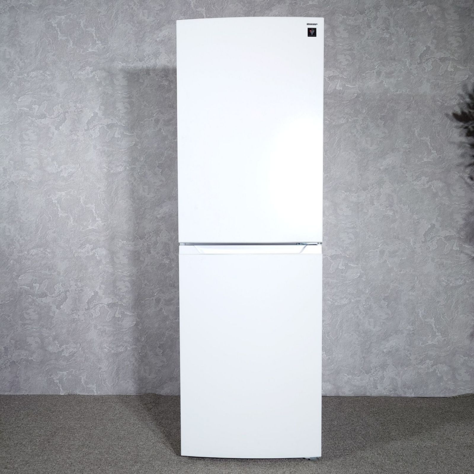 2025年製】 美品 SHARP シャープ プラズマクラスター 冷凍冷蔵庫 SJ