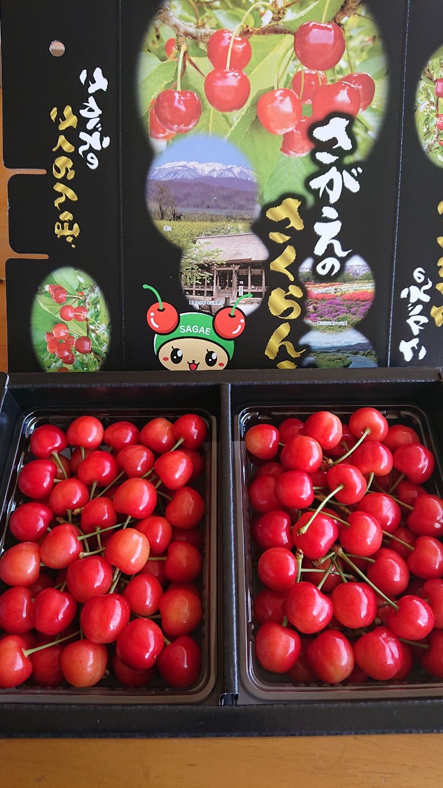 古信楽 鬼桶 水指 茶道具 花生け