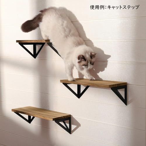 BLACK CAT　壁飾り棚 キャットステップ キャットウォーク DIY 棚受け 壁 飾り棚 アクシス