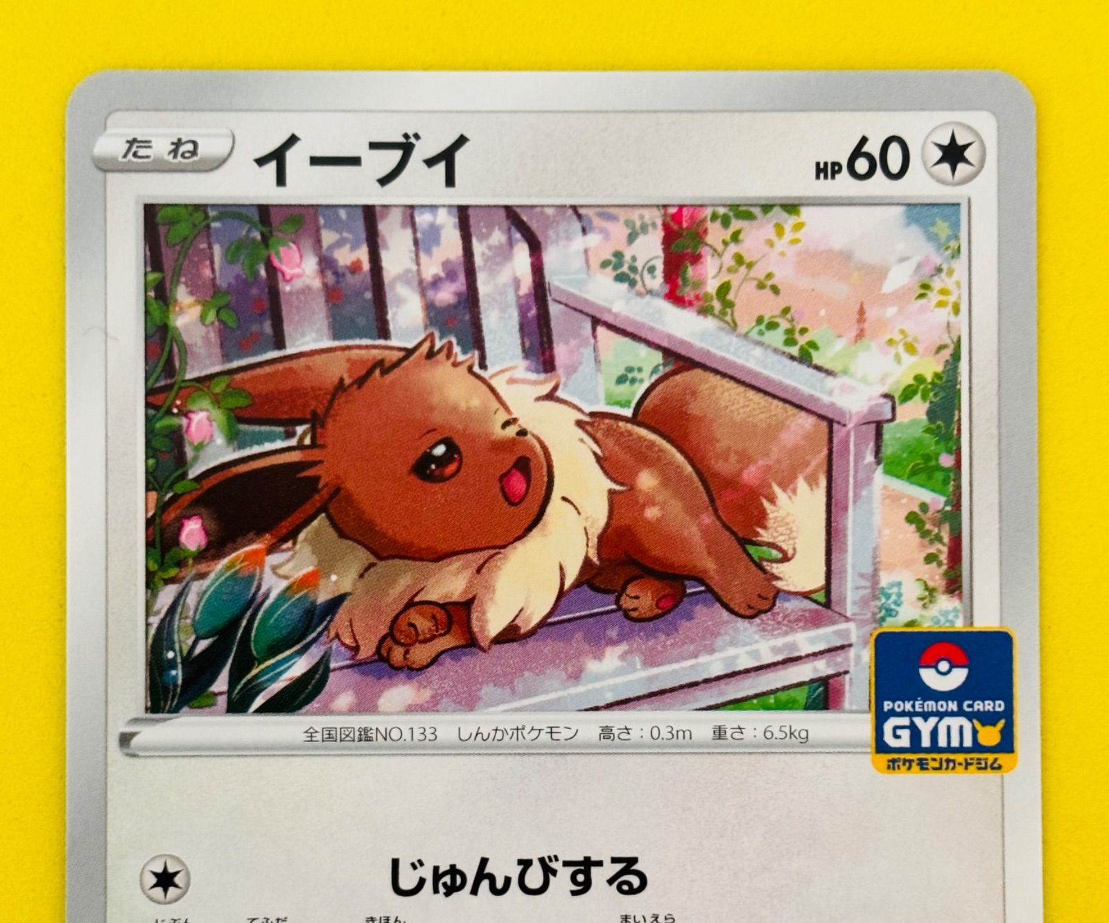 匿名配送】ポケモンカード☆イーブイ☆ジムプロモ☆プロモ☆じゅんび