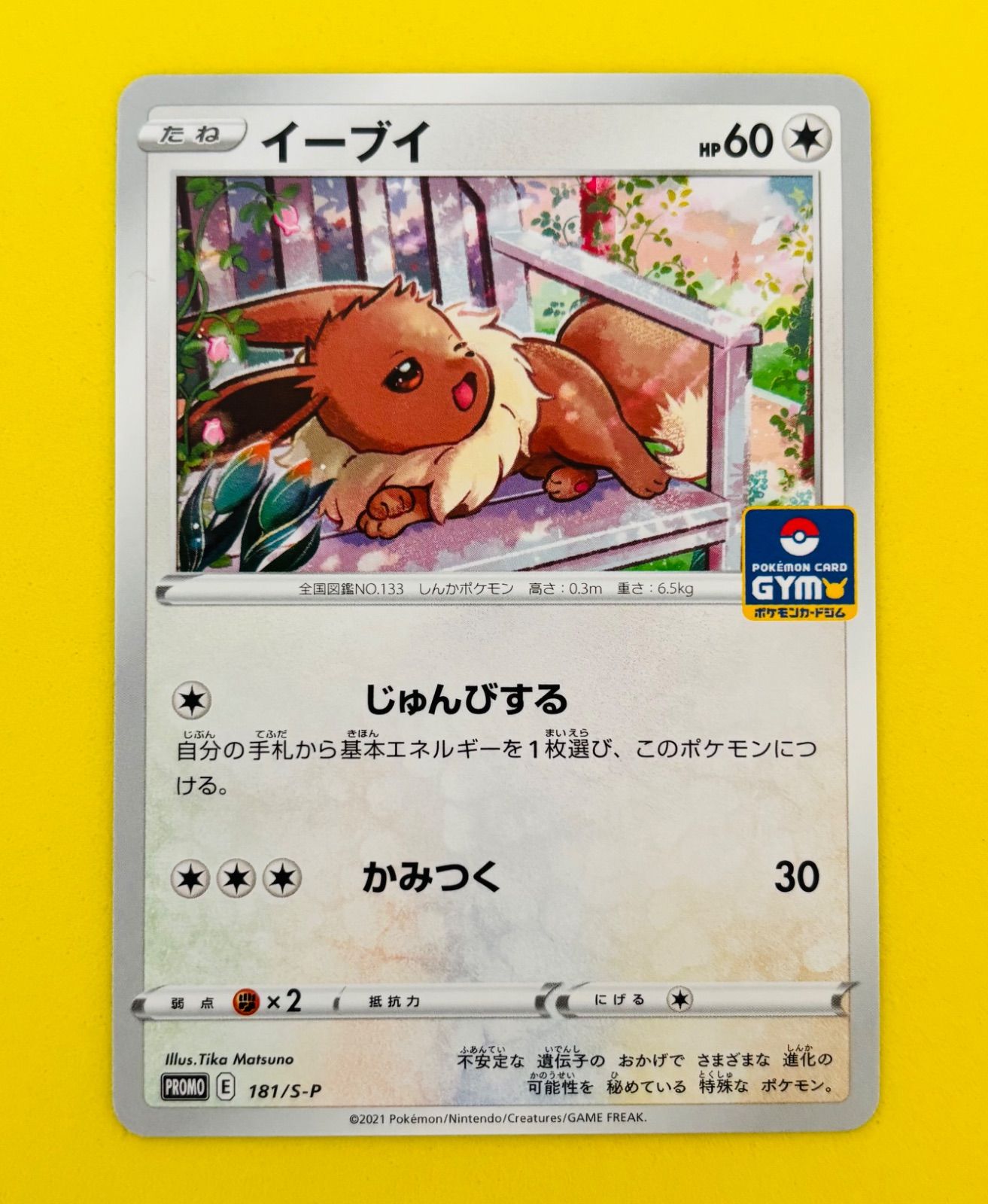 匿名配送】ポケモンカード☆イーブイ☆ジムプロモ☆プロモ☆じゅんび