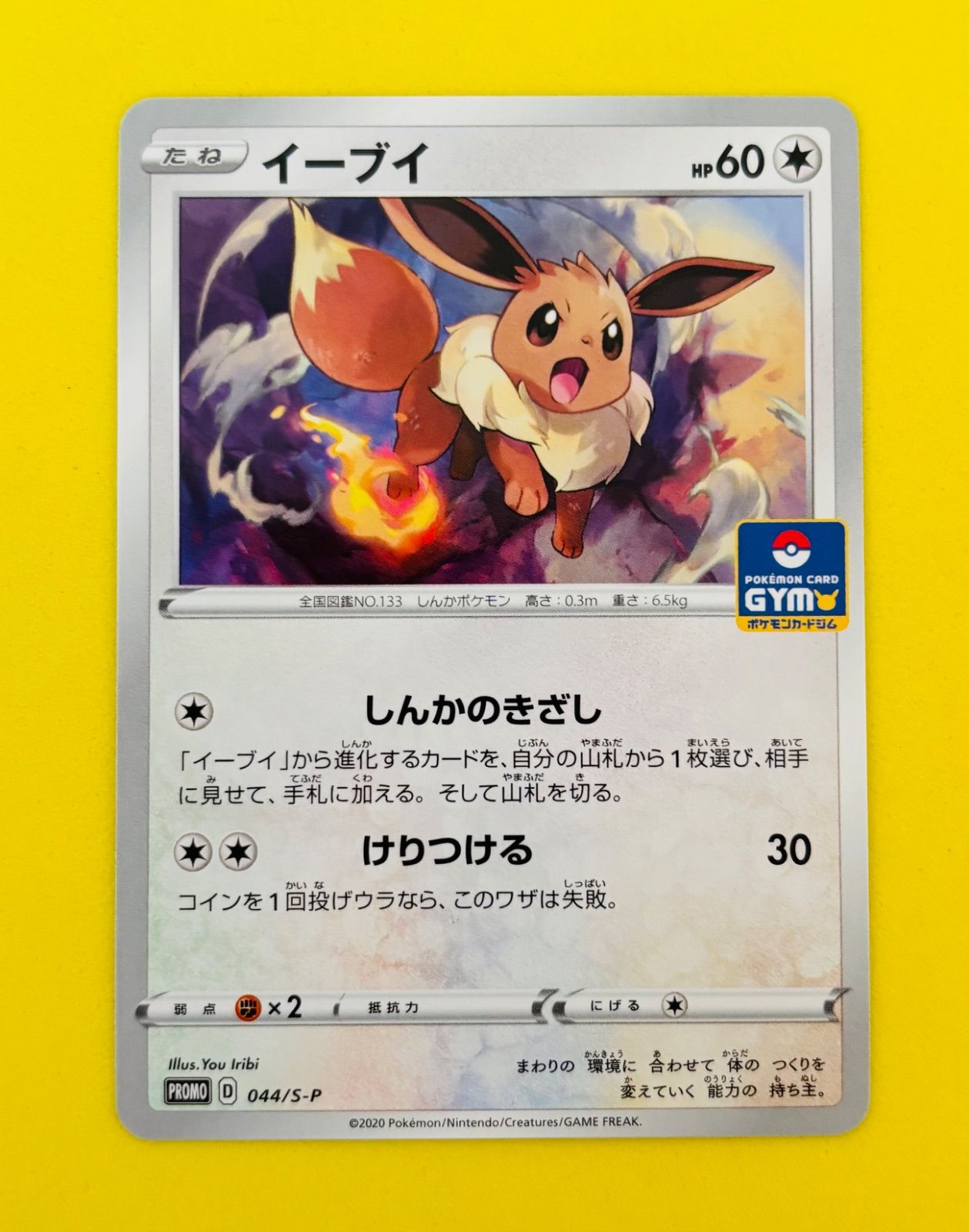 イーブイ　プロモカード　ポケモンカードジム　セット 匿名配送】ポケモンカード☆イーブイ☆ジムプロモ☆プロモ☆しんかの