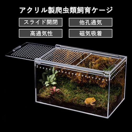 爬虫類 ケージ シェルター アクリル製 トカゲ 蛇 サソリ 飼育 ボックス
