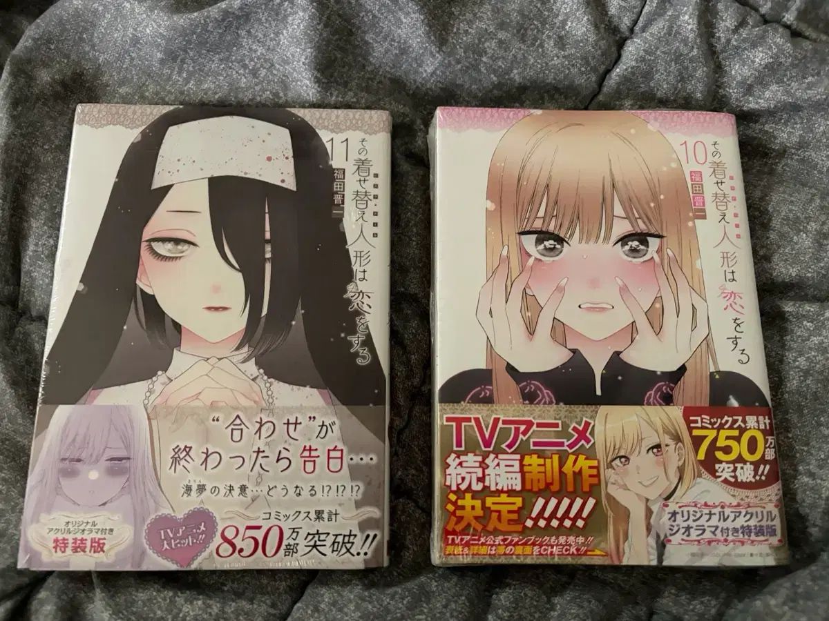 漫画 ビスクドール 9 10 11 漫画 初回版