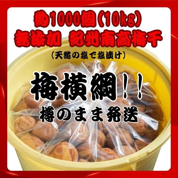 〇人気爆発！紀州南高梅 樽 10kg 梅 無添加 和歌山 紀州 白梅 2204