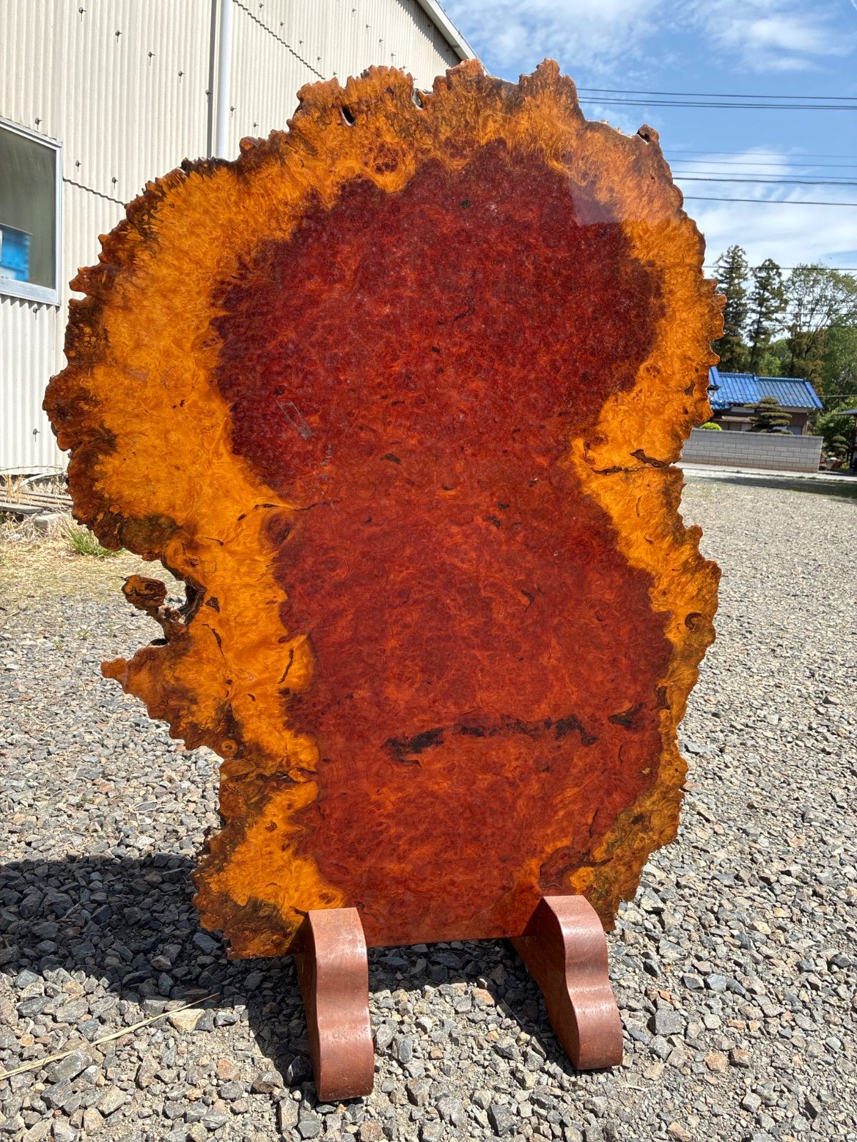 【中古品】希少価値の高い花梨（カリン）の瘤杢（こぶもく）を使用した一枚板の飾り台板