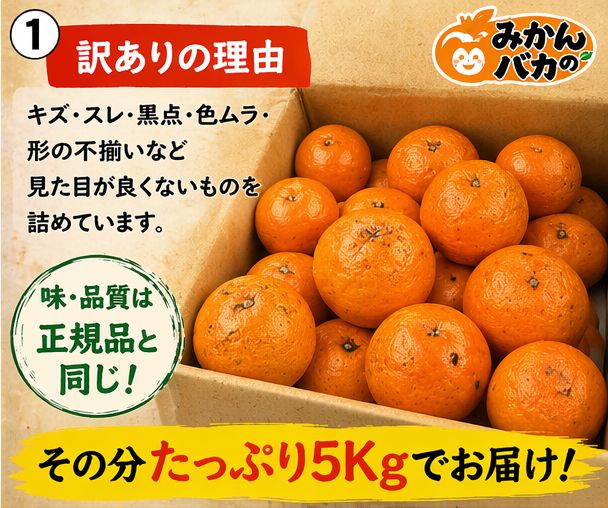 有田産カラマンダリン（南津海）家庭用訳あり品。総重量5kg サイズ おまかせ。 訳ありカラマンダリン 5kg 手でむける 愛媛産 - メルカリ