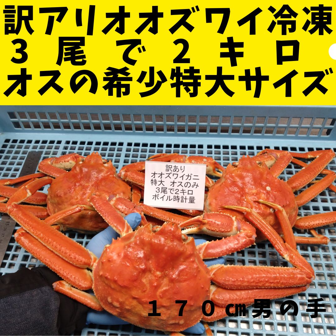 北海道産ボイルオオズワイガニ！特大！　冷凍 3k6匹入り！ カネサン佐藤水産 オオズワイガニ 北海道産 ズワイガニ ボイル 姿 冷凍