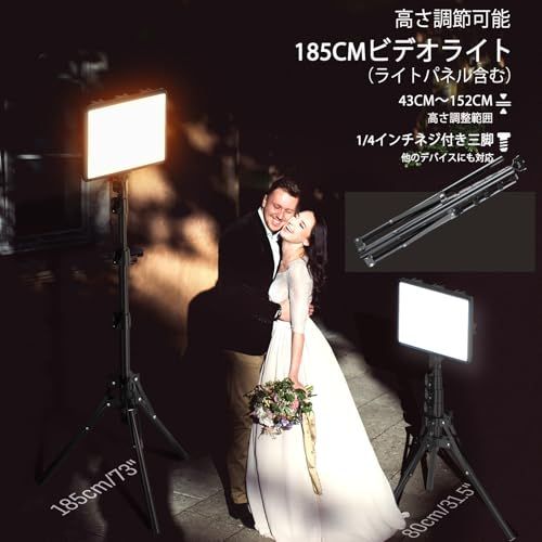2パック撮影用ライト LEDビデオライト 写真スタジオ撮影 2800-6500K三色調光可能な照明撮影ライトキット 152cm調節可能な三脚とスマホホルダー付き 持ち込みやすい 収納バッグ付き YouTube/会議/動画/生放送/ゲーム実況／照明 撮影用 2パック撮影用ライト LEDビデオライト 写真スタジオ撮影 2800-6500K三