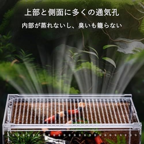 アクリル製爬虫類飼育ケージ 6個　シェルター1つおまけ 爬虫類 ケージ シェルター 飼育ケース アクリル製 トカゲ 蛇 サソリ