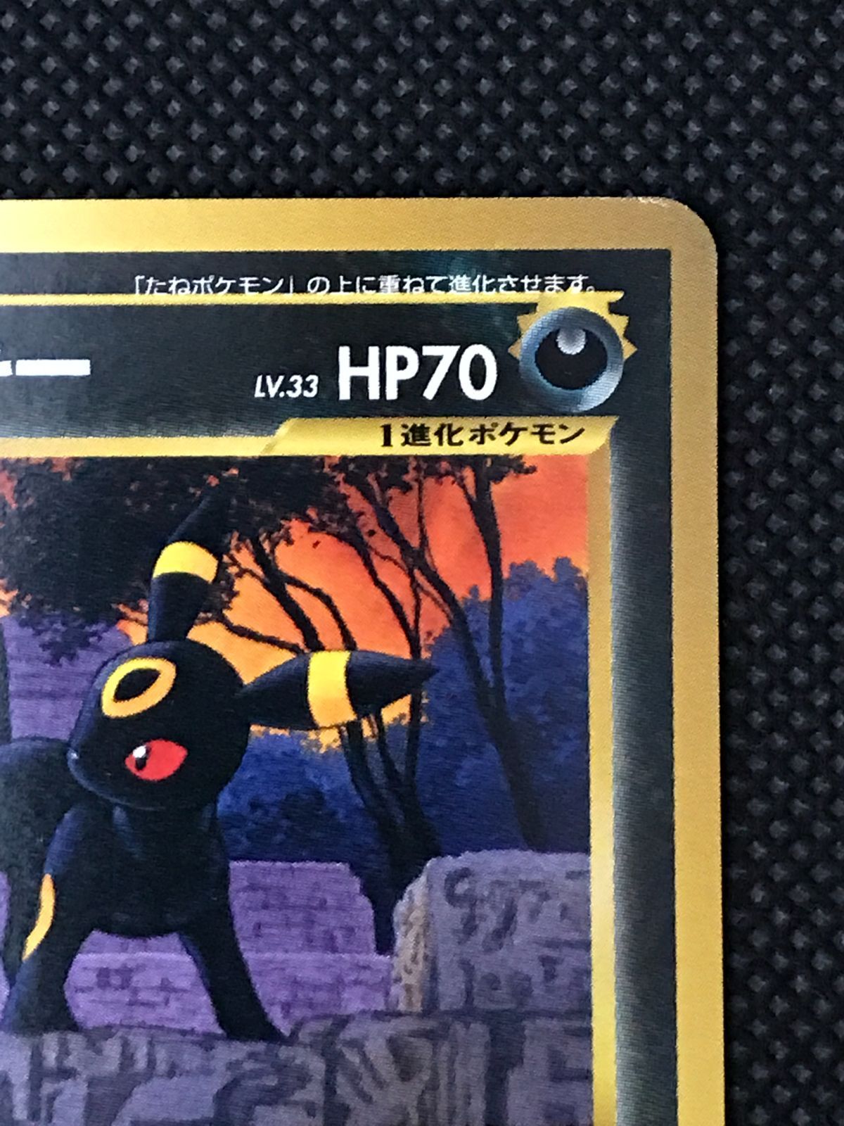 ブラッキー プレミアムファイル2 旧裏 [2375] - メルカリ