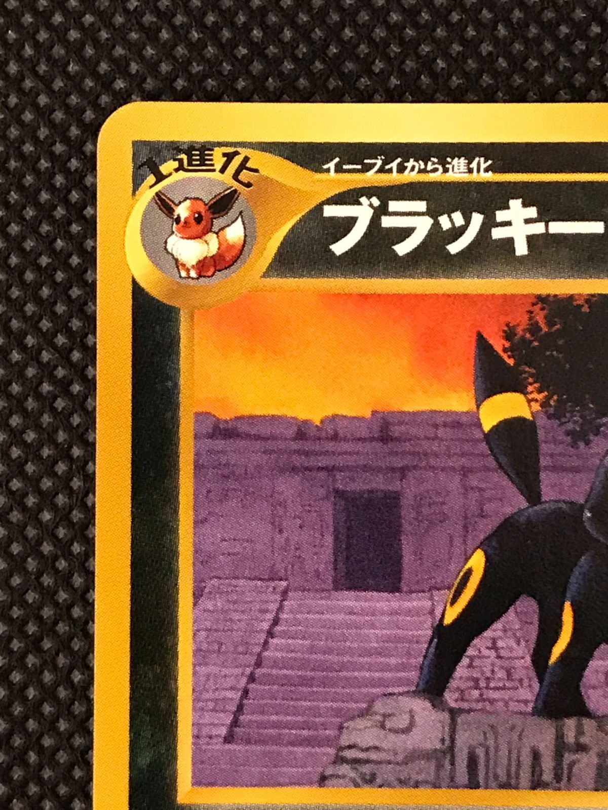 ブラッキー プレミアムファイル2 旧裏 [2404] - メルカリ