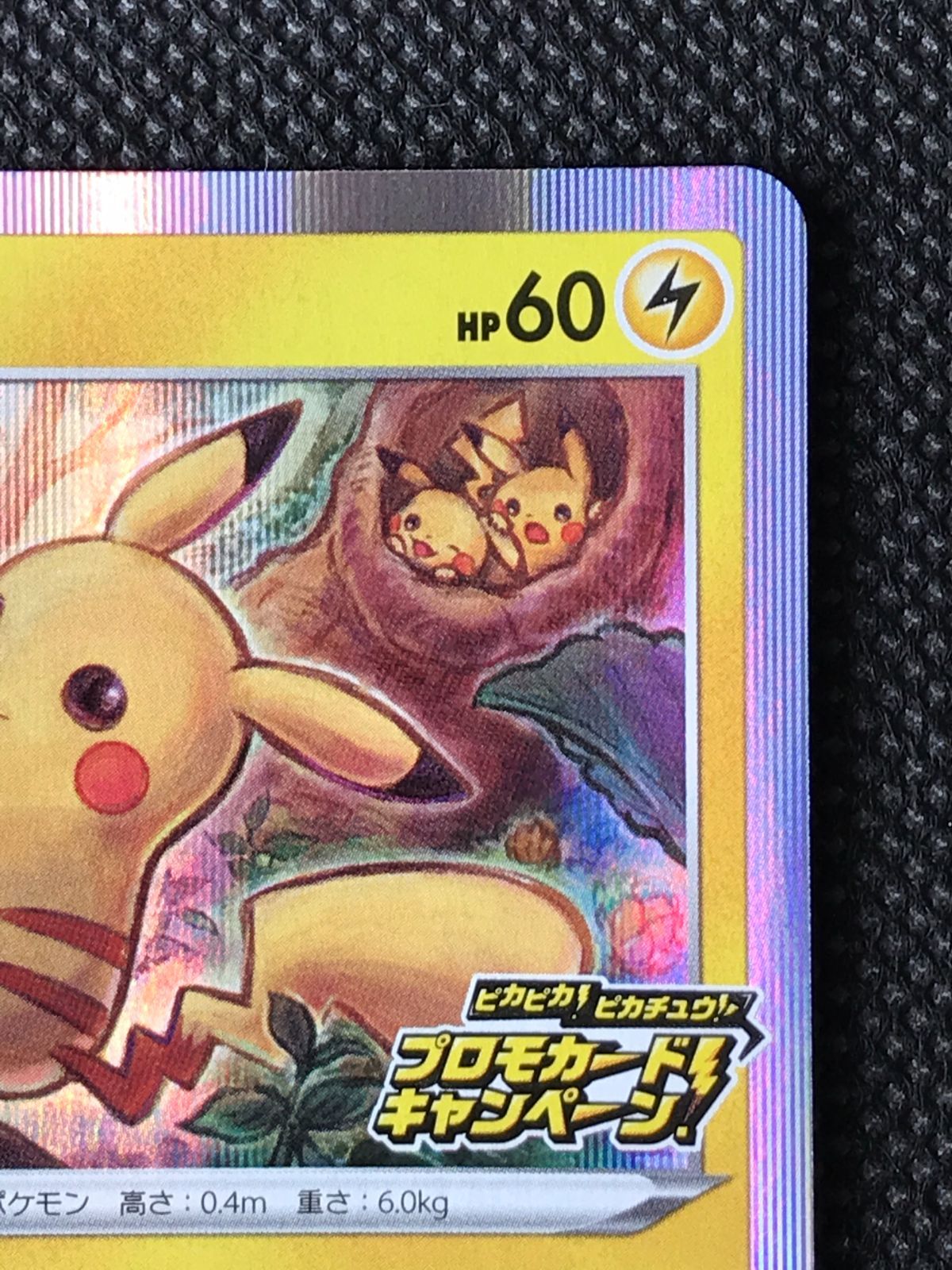ピカチュウ 124/S-P プロモ [2464]-通販 激安セール