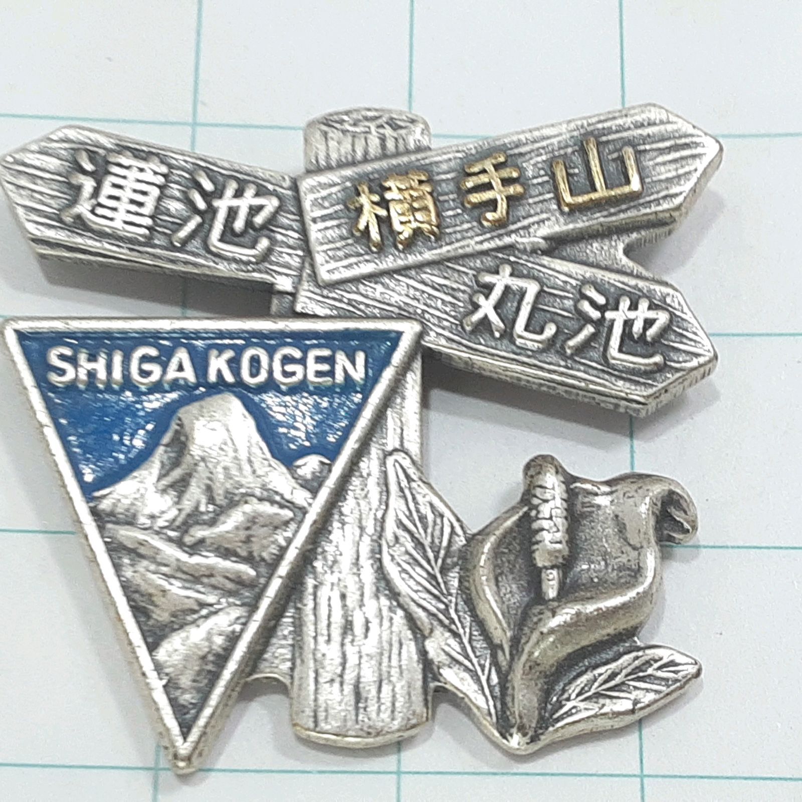 複数購入値引) 志賀高原 蓮池 横手山 丸池 観光 旅行 登山 記念 山