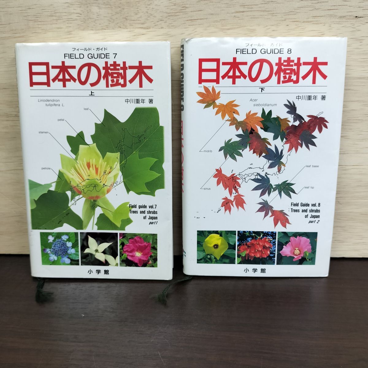 計2冊 日本の樹木 上下セット フィールド ガイド 210165 - メルカリ
