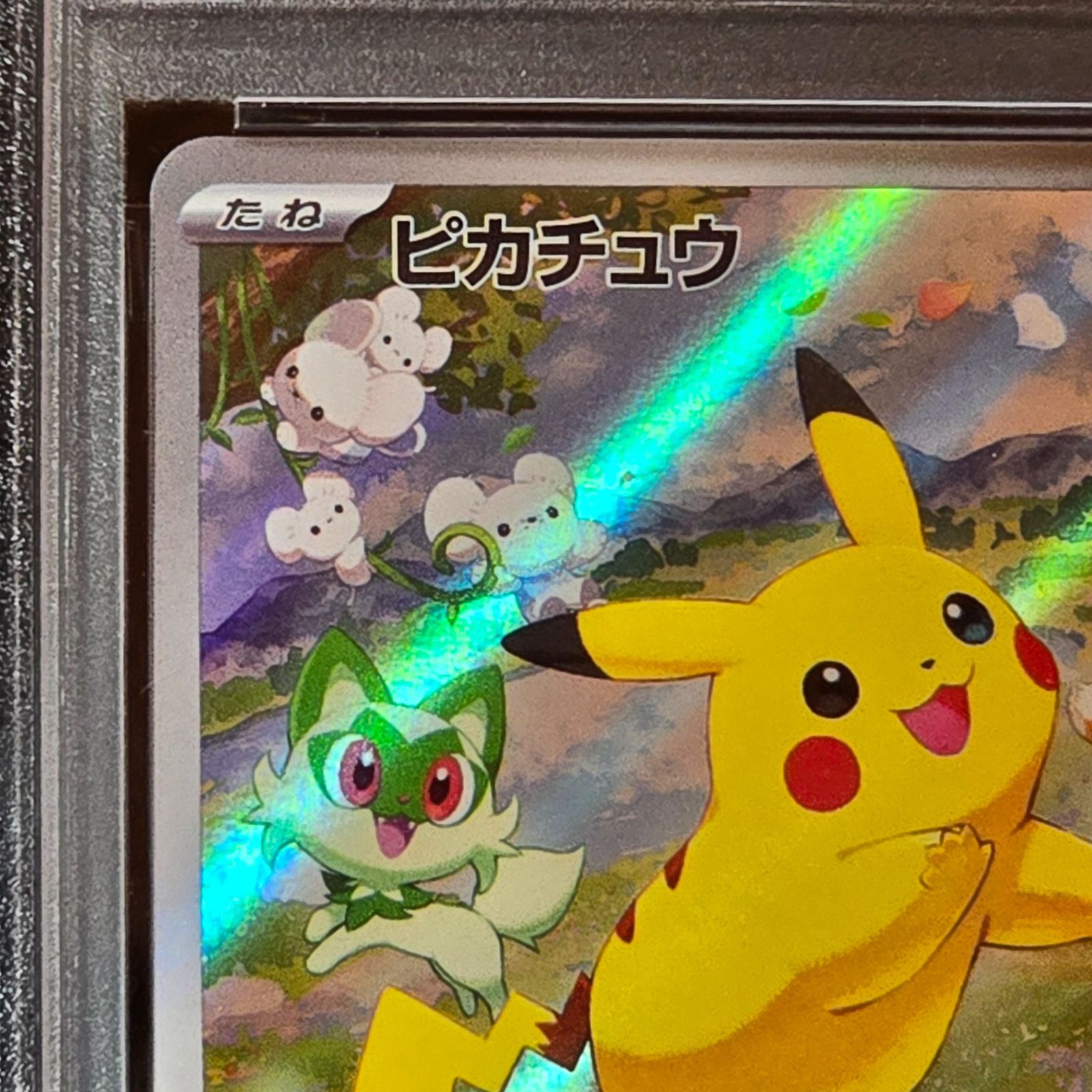 ピカチュウ　ポケカの夏がキタ！プロモカードGetキャンペーン！ 　PSA9 ポケモンカード ポケカの夏がキタ！プロモカードGetキャンペーン