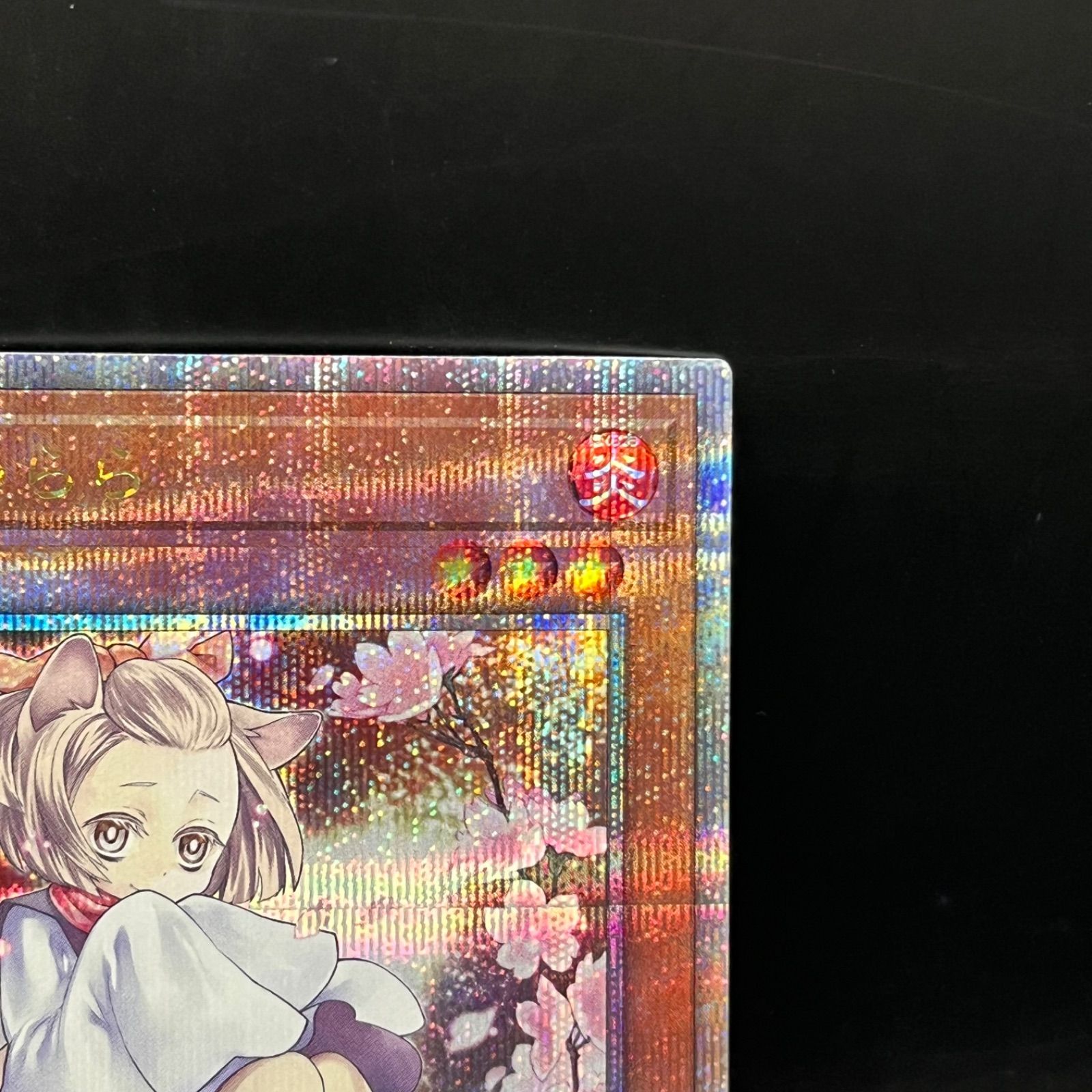 遊戯王 灰流うらら 新規イラスト クォーターセンチュリーシークレット 