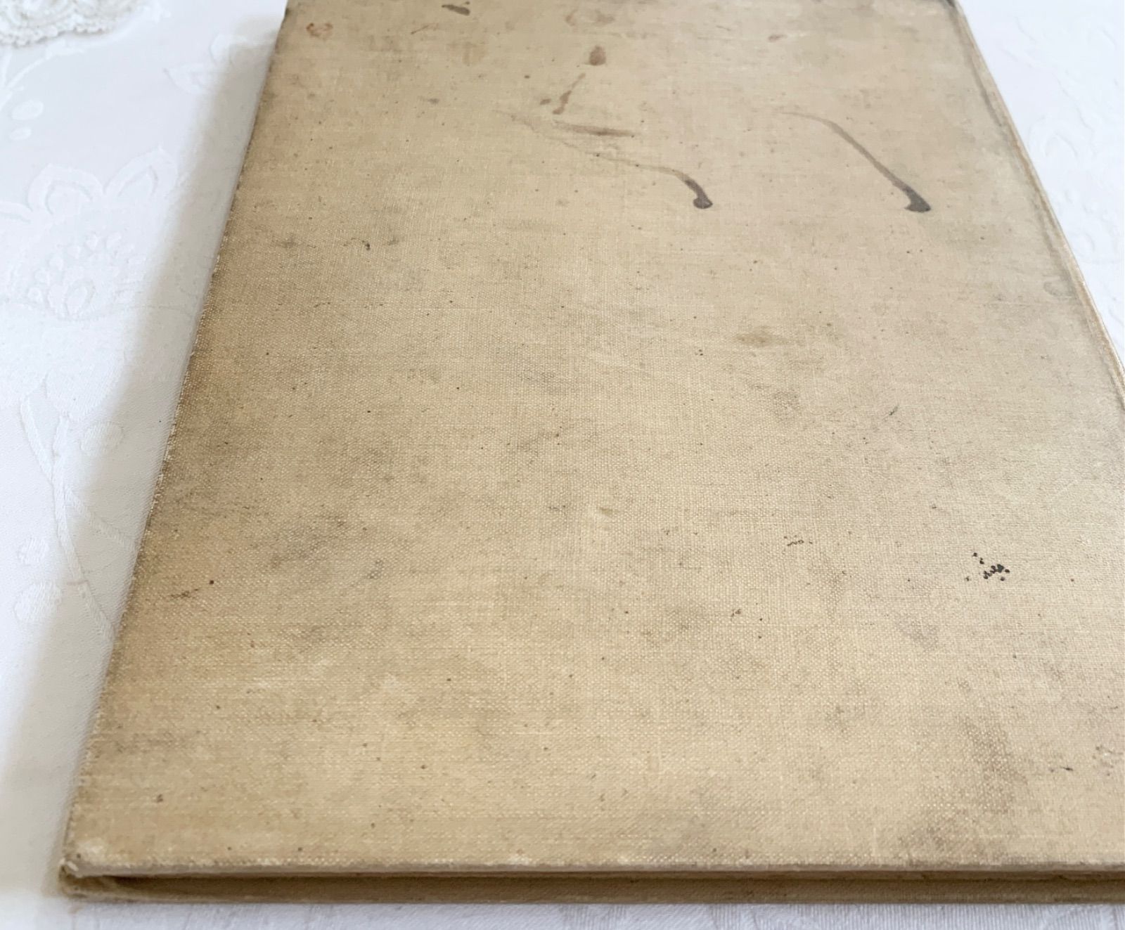 【専用】超稀少1841Godey's アンティーク洋書 絵本 ヴィクトリアン ヴィクトリアン幻想図鑑 黒イ森ぬり絵ブック | PIE International