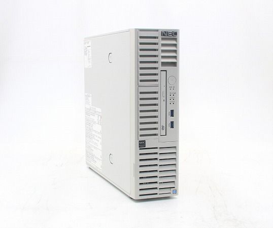 NEC Express5800/T110i-S Pentium G4560 3.5GHz 8GB 500GBx2台 MegaRAID 9362-8i 中古