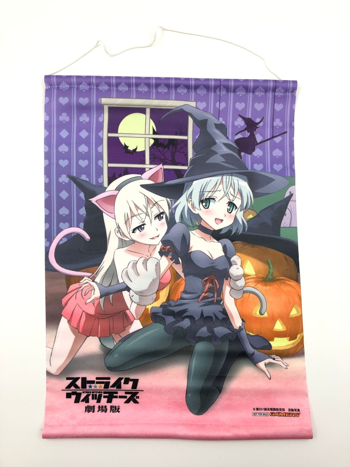 ♪) ストライクウィッチーズ 劇場版 サーニャ エイラ 描き下ろし A3