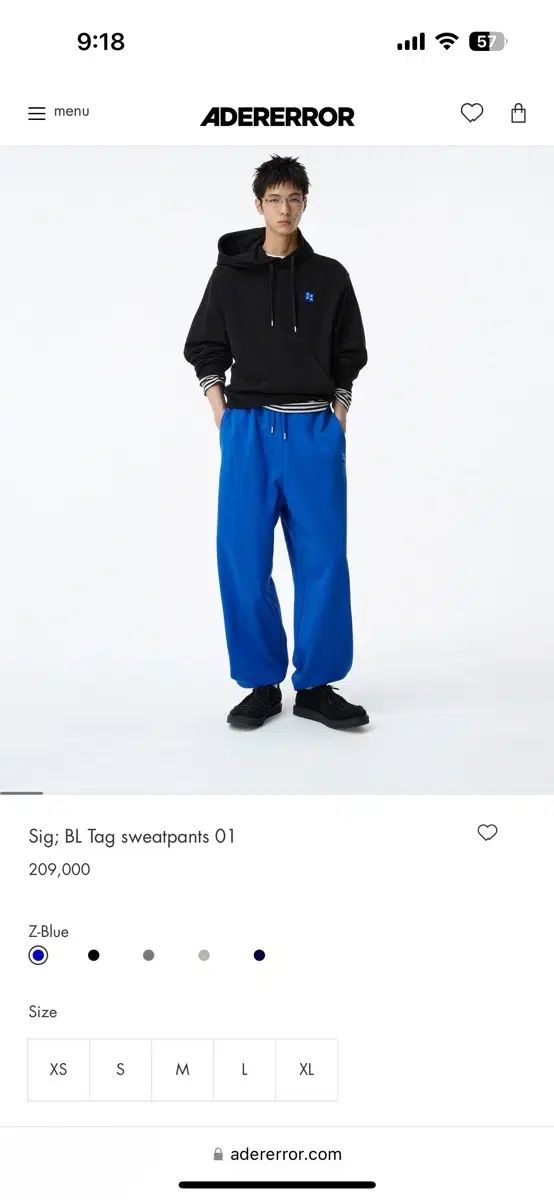 ADER ERROR アーダーエラー スウェットパンツ - メルカリ