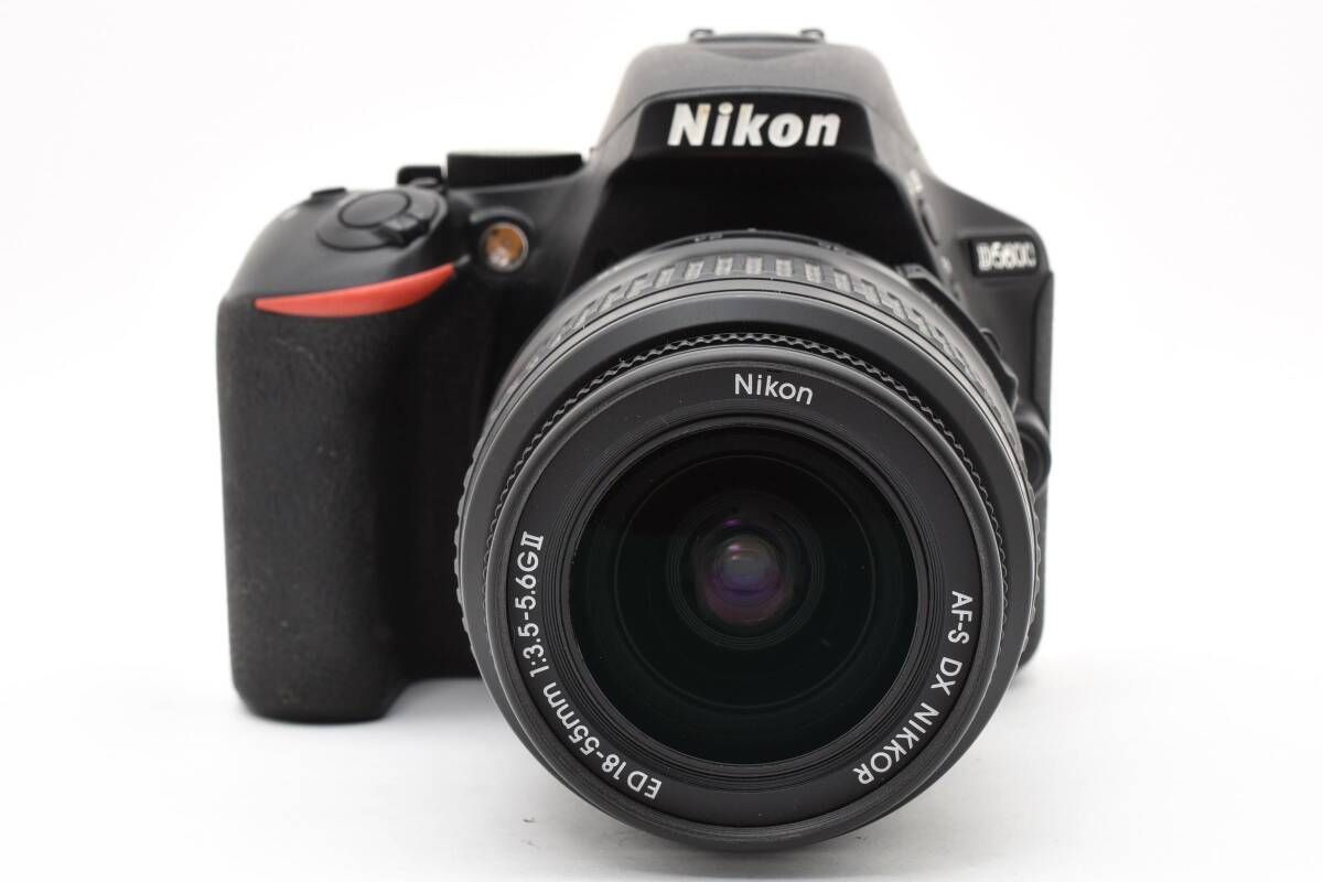 ☆美品☆ 《シャッター数 15918回》 Nikon ニコン D5600 AF-S 18-55mm