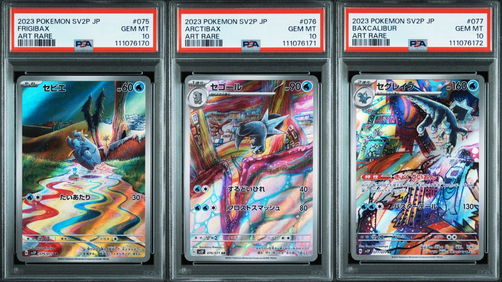 連番 セビエ セゴール セグレイブar psa10 最新ケース 連番 セビエ セゴール セグレイブar psa10 最新ケース 【公式通販】