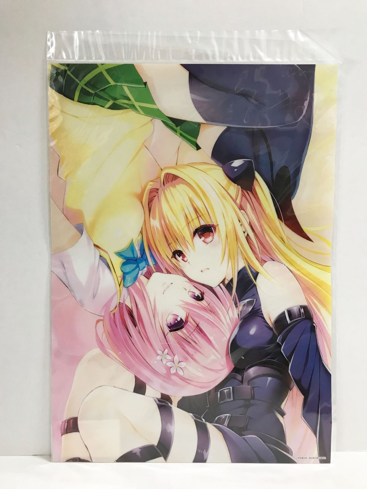 27.【未開封】モモ＆闇 A3クリアポスター To LOVEる -とらぶる- 15周年