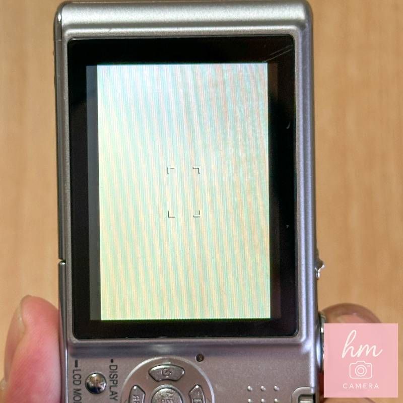 Panasonic LUMIX DMC-FX30 プレシャスシルバー コンパクトデジタル