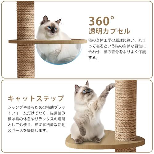 CozyMeow キャットタワー 突っ張り 木製 キャットツリー 木登りタワー