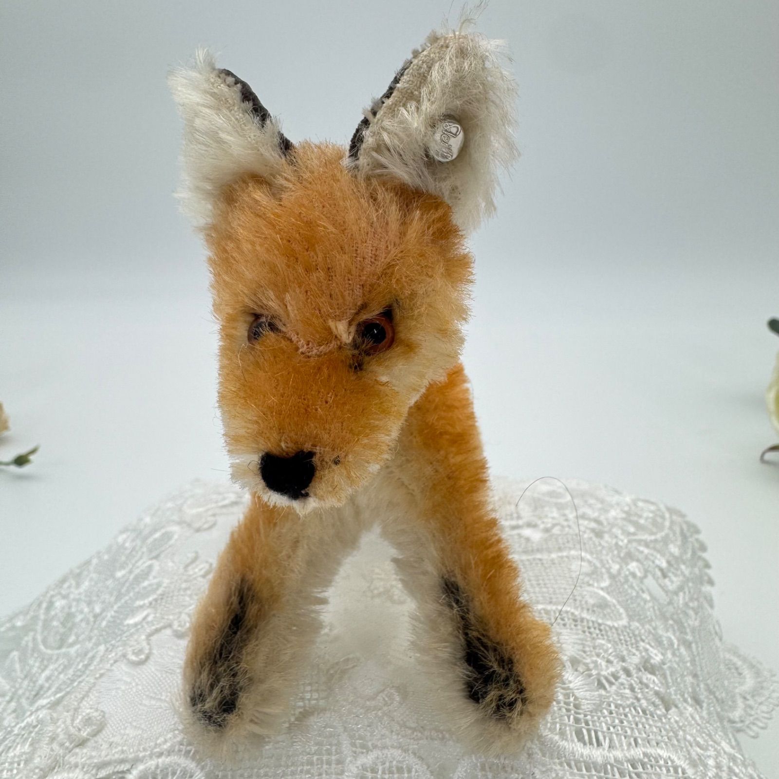 ビンテージ　シュタイフ　XORRY 砂漠キツネ　desert fox Vintage Steiff Xorry Kit Fox Lying Curled Up 1554/35 Button in Ear