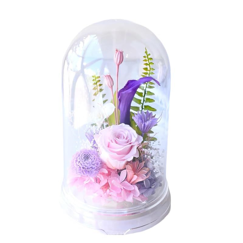 【新品】 [プリティ マーメイド] プリザーブドフラワー ドーム フラワードーム 仏花 供花 すみれ 菫 1個 ピンク アレンジ 0