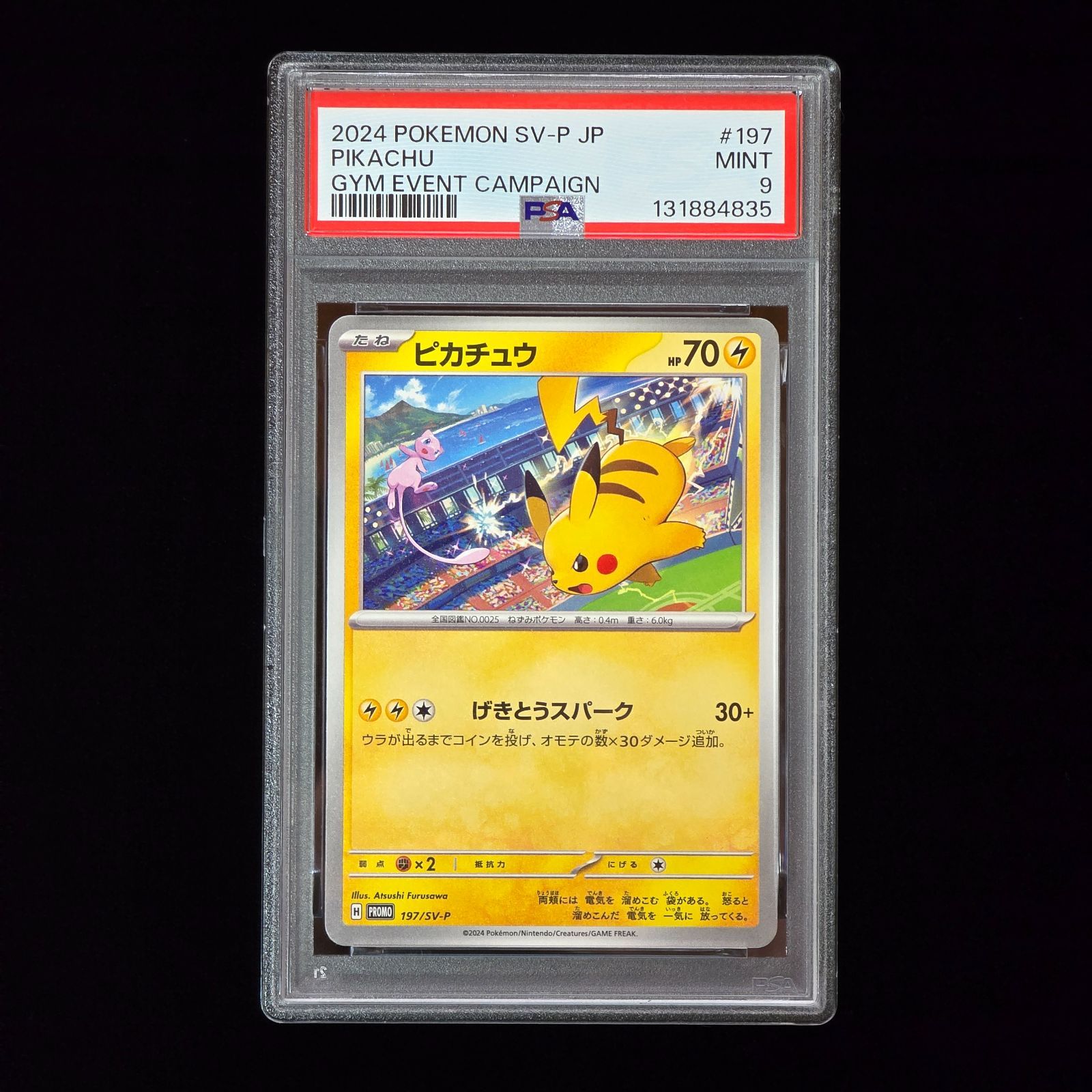 PSA9 6枚　ピカチュウ：ジム　PROMO SV-Pプロモ　197/SV-P ピカチュウ PROMO SV-P ジムプロモ げきとうスパーク 2023 2024 PSA9
