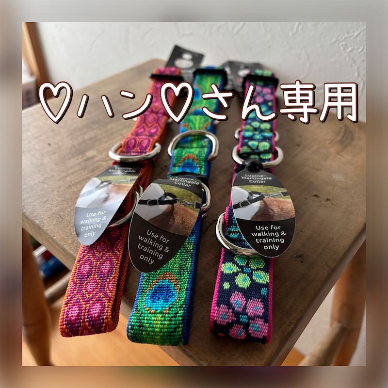 【♡ハン♡さん専用】LUPINE 25mm幅ハーフチョークカラーMサイズ３点セット