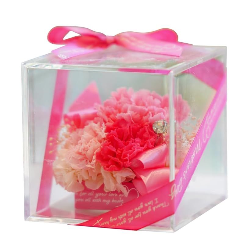 【新品】 IPFA プリザーブドフラワー シュシュ アクリル BOX(母の日モデル/ピンクカーネーション)母の日 花 ギフト(誕生日 結婚祝い 退職祝い 還暦)カーネーション プレゼント お祝い 0