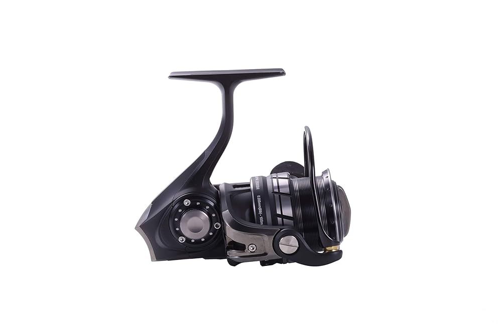 AbuGarcia (アブガルシア) ROXANI 2500MSH ロキサーニ ハイギヤ ソルト